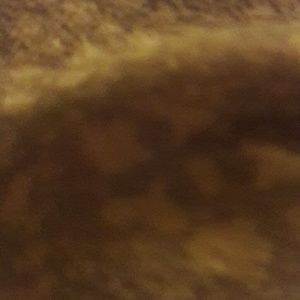 Meet your Posher, Joy